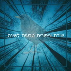לילה טוב