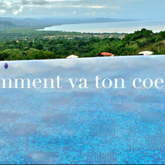 Comment va ton coeur _-Bbm-131bpm-441hz