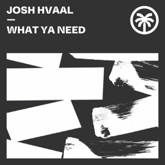 Josh Hvaal - What Ya Need