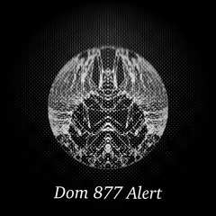 Dom 877 - Alert