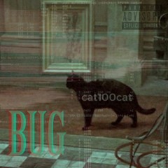 bUg