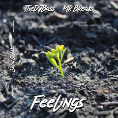 TheDJBass & Mr Breaks - Feelings