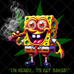 BBF(bikini bottom flow)
