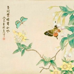 2.나비(胡蝶之夢)