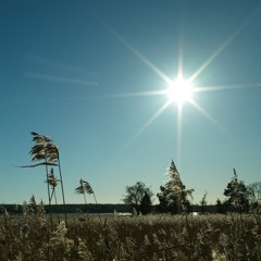 those worth saving - 2025 +