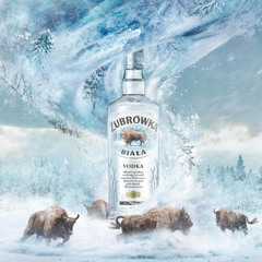 Vodka à 40%🇵🇱