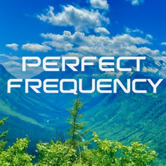 Perfect Frequency (Funky Thangs Radio Mix)