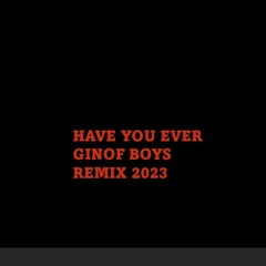 HAVE YOU EVER   GinoF Boys Remix 2023 A