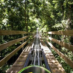 Review Special Price Jamaica Bobsled Adventure Mystic Silver Tour From Montego Bay