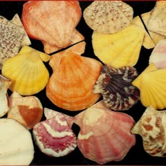 princess misunderstood ep. 4 (12/10)