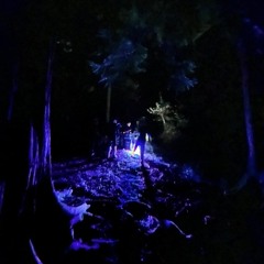 Bass in the Woods - UKG/Breakbeat to Techno Mix