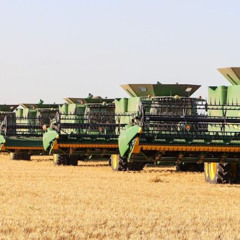 Roll These Combines On (To Montana)