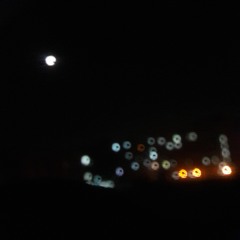 باد هواك -المتنبي