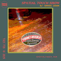 The Spatial Touch Show (w/ Goose Down) 02-18-25