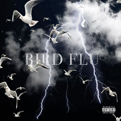 Bird Flu (feat. 30Macz)