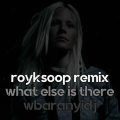 WB - ROYKSOOP  / WHAT   ELSE   IS THERE