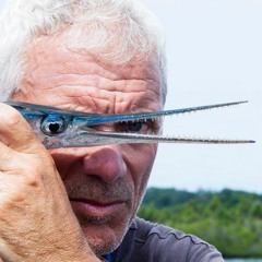 Jeremy Wade