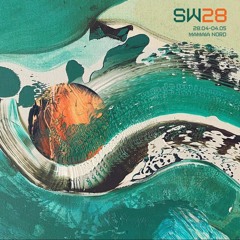 VIZAN @ Sunwaves 28