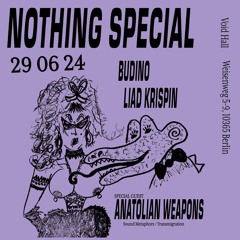 DJ set at Nothing Special Berlin, w/ Budino and Liad Krispin 29/06/2024