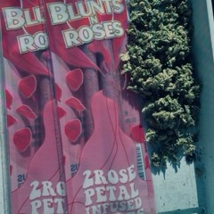 Roll Up ft Mission.mp3