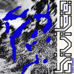 RÁDIO VOODOO 11 - BIVITO