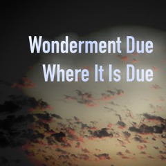 Wonderment due where it is due