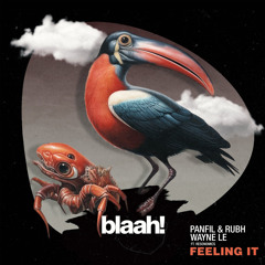 Panfil & Rubh, Wayne Le Feat. Resonomics - Feeling It [BLAAH!!]