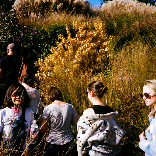 Simmering w/ Caesar - Mar 21, 2023