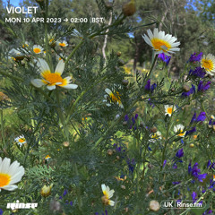 Violet - 10 April 2023