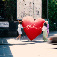 Where Is My Husband! 2025