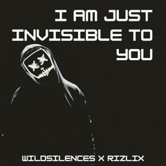 RiZLiX x Wildsilences - I Am Just Invisible To You