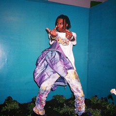 Playboi Carti - Flex (slowed and reverb + bass boost)
