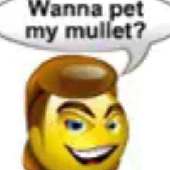 COUNTRY FRIED RIDDIM