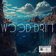 Wood Drift - On the Pulse (Radio Edit)