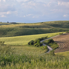 ORTF Tuscany Field Recording Session 18/5/2025