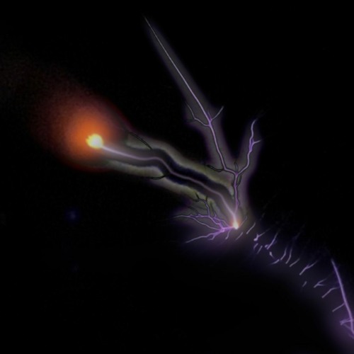 light the coil_20240118