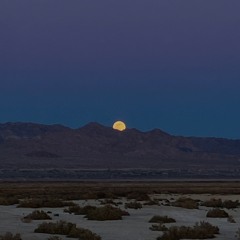 Menstrual Moon