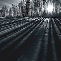 Shadowplay