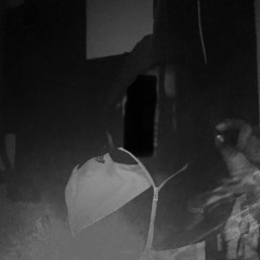 BandeauxfaPresidenT (prod basobeats)