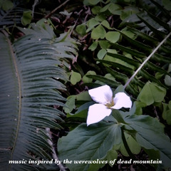 Dead Mountain + Senescence