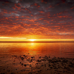 Beat by LEY & Sqrout