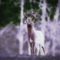 FLOAT (prod. molly825)