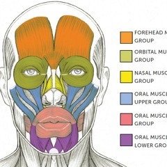 I Am A Machine (feat.Dean Stockwell)