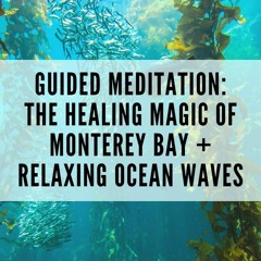 74 // Guided Meditation: The Healing Magic of Monterey Bay + Relaxing Ocean Waves