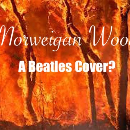 Norwegian Wood  (A Beatles Cover?)