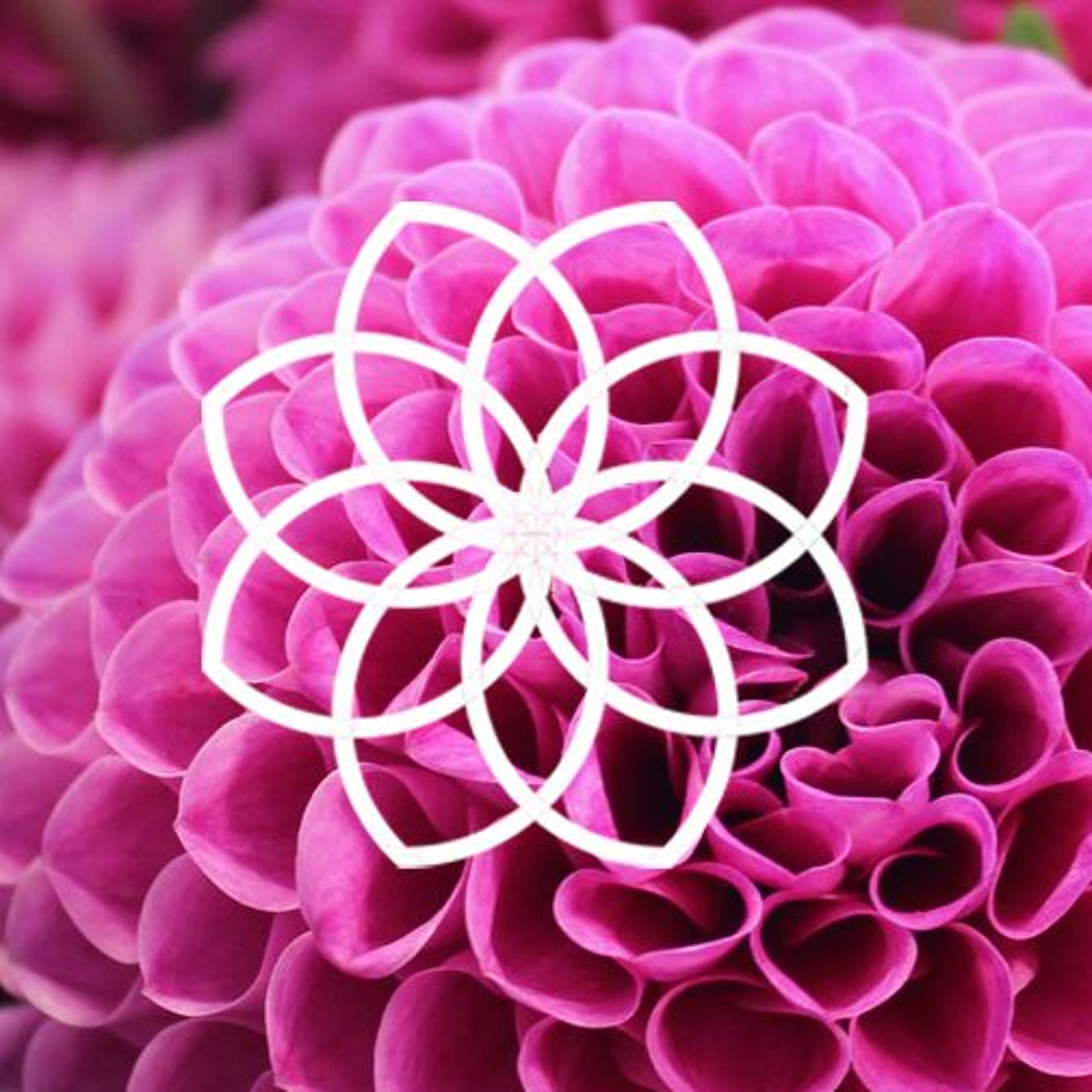 150. Mindfulness Mondays: Exploring Change episode artwork
