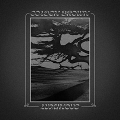 Mammoth Star,  Golden Brown  (CMPB123 Remix)