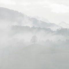 mist