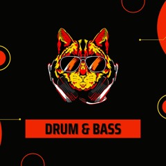 🎧[DRUM & BASS]🎧