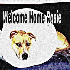 Rosie's Home! :333